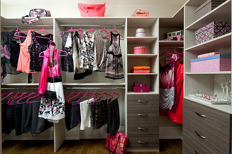 Classic closet organizer