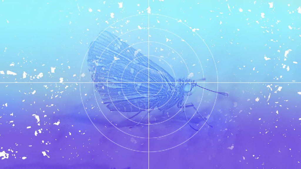 Why Clothing Moths Appear In Closets (And 7 Tips To Avoid Getting Them)