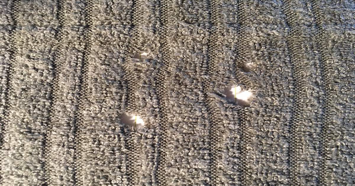 clothing moths damaged sweater