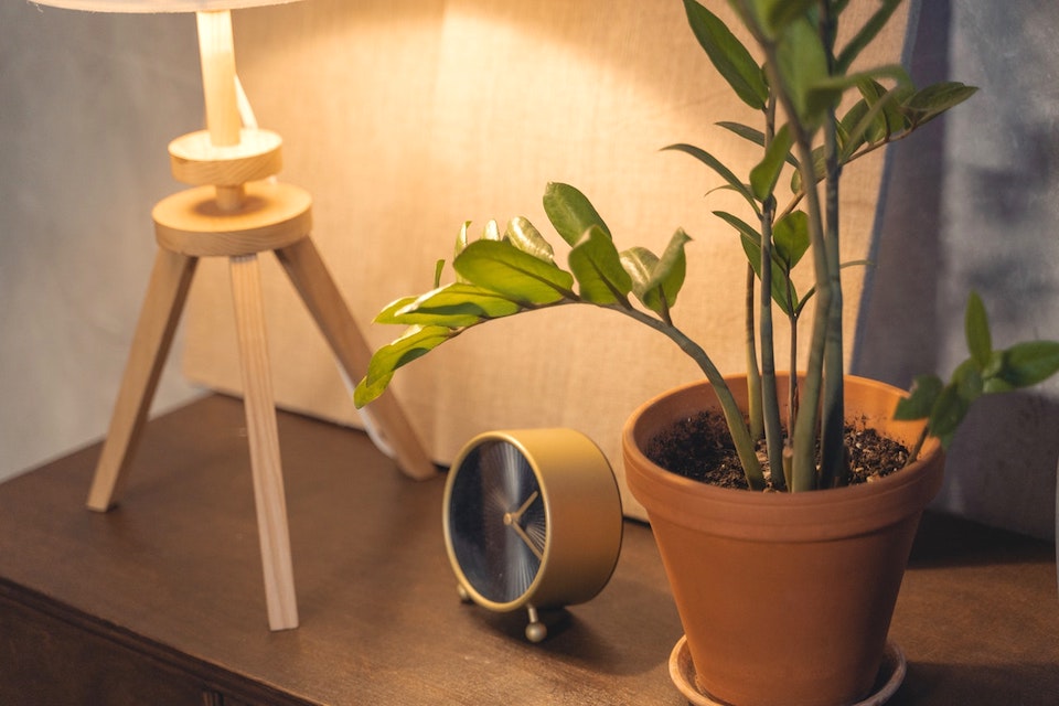 plant clock lamp on nightstand