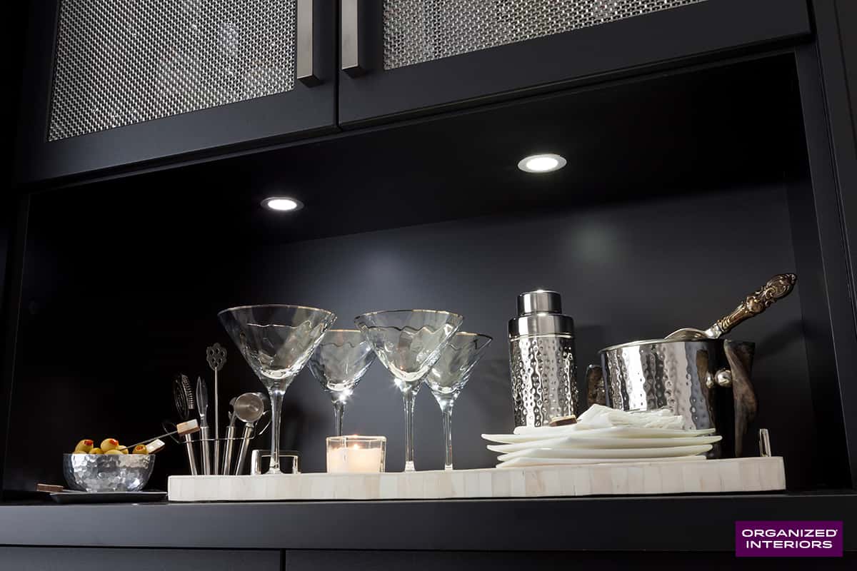 undermoutn led lighting in a built-in cabinet