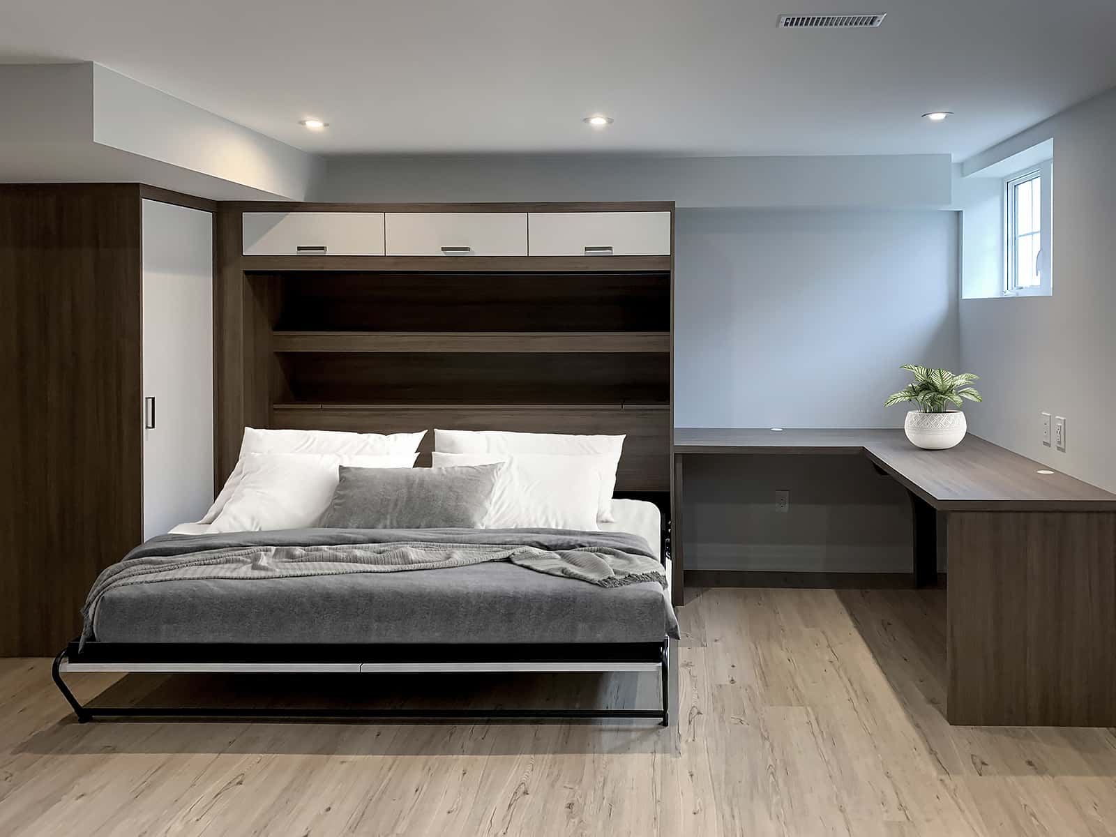 basement wall bed spare bedroom