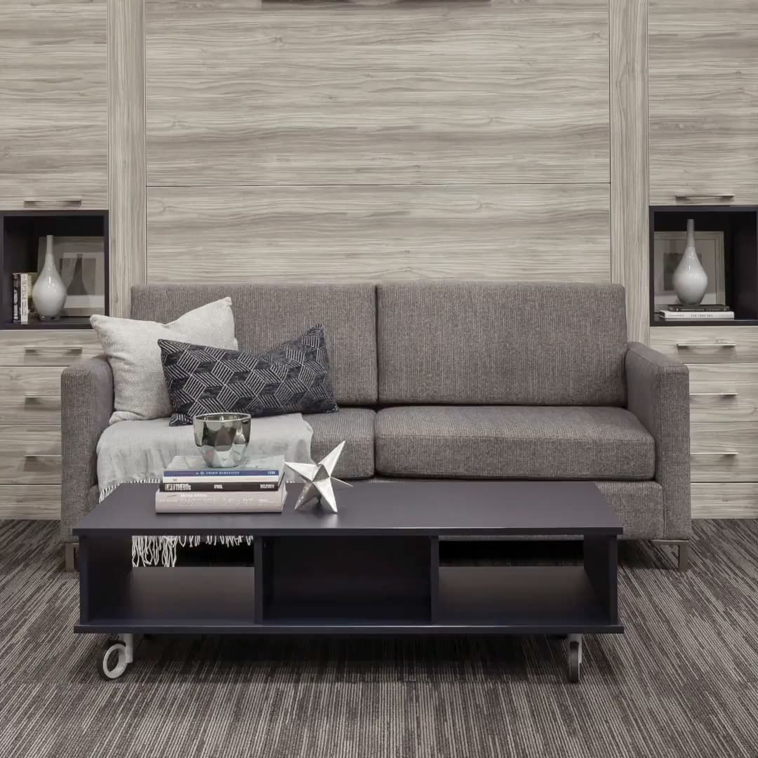 sofa Murphy bed closed position